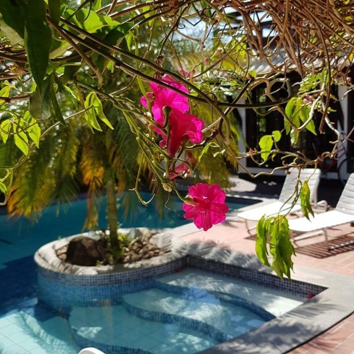 Guesthouse Mata Da Praia Vitória Exteriör bild